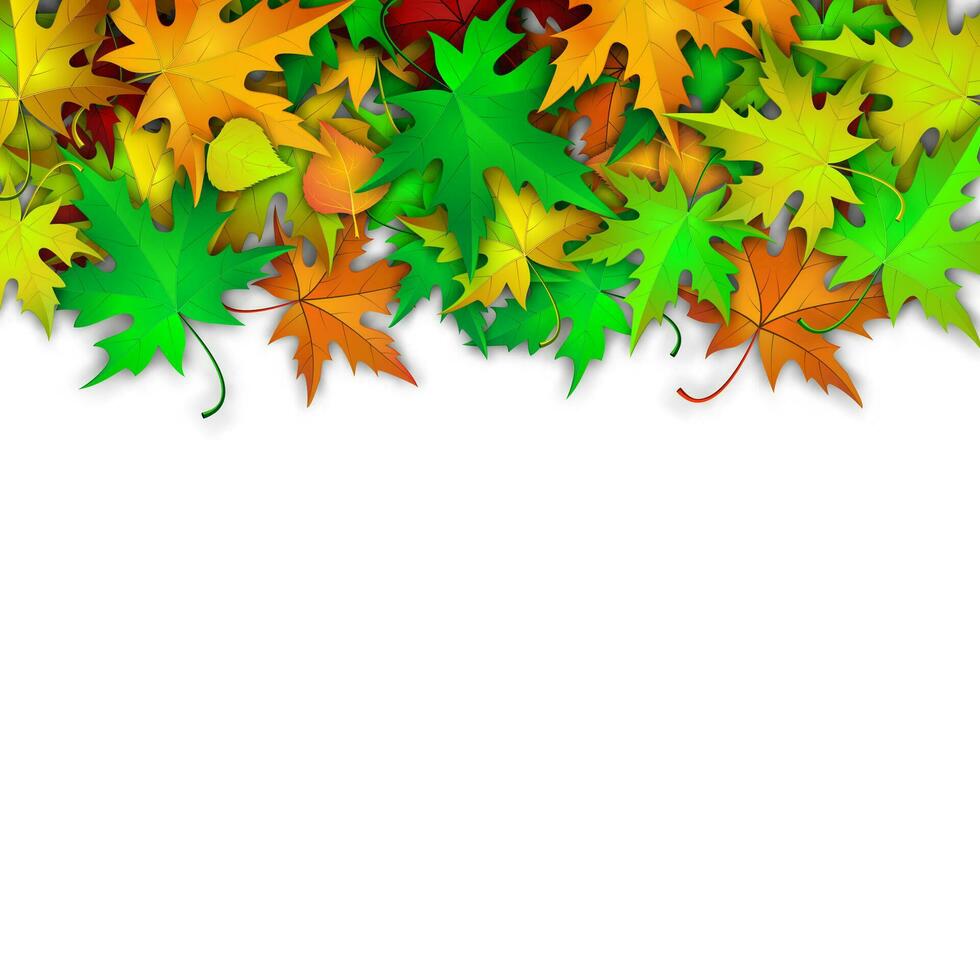 Vector background with colorful autumn leaves