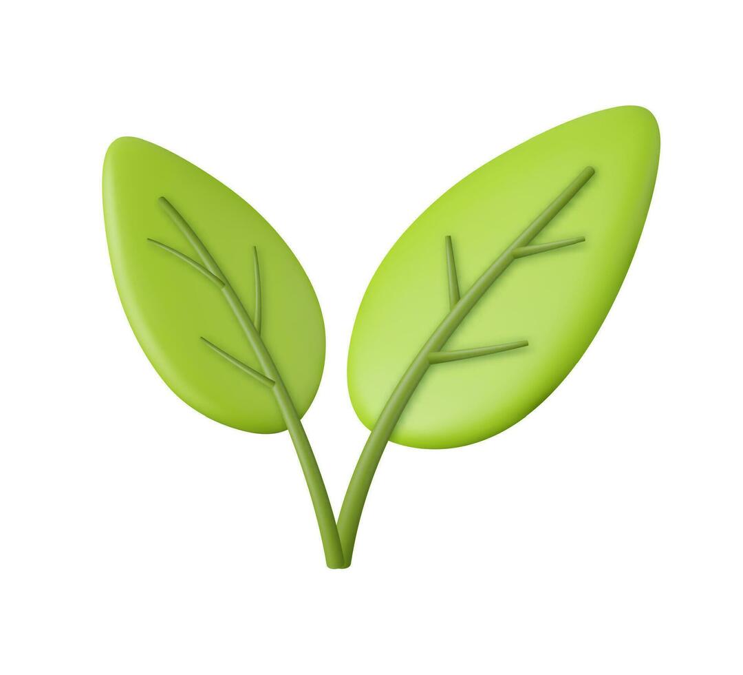 3d Green leaf. eco leaves. vector