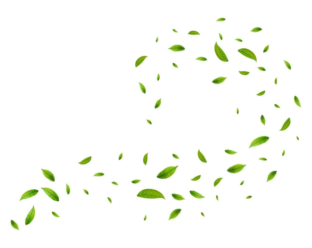 Realistic green tea leaves in motion 36144019 Vector Art at Vecteezy