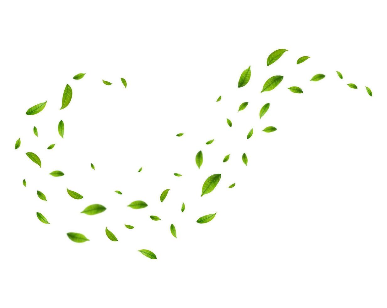 Realistic green tea leaves in motion vector