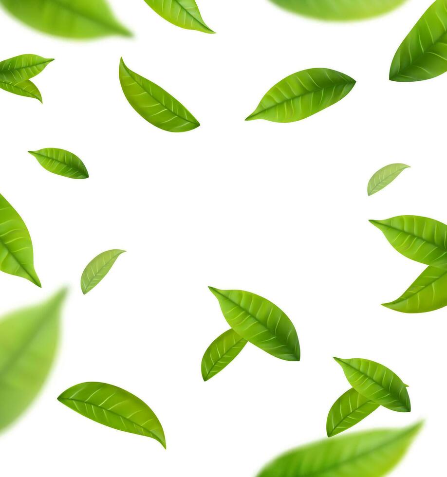 Realistic green tea leaves in motion vector