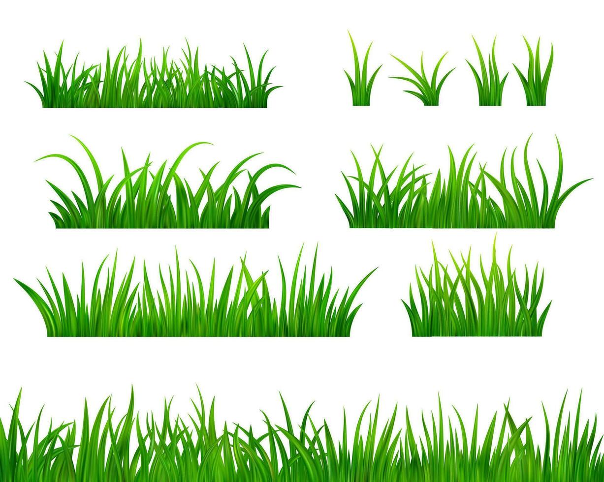 Green grass meadow border vector