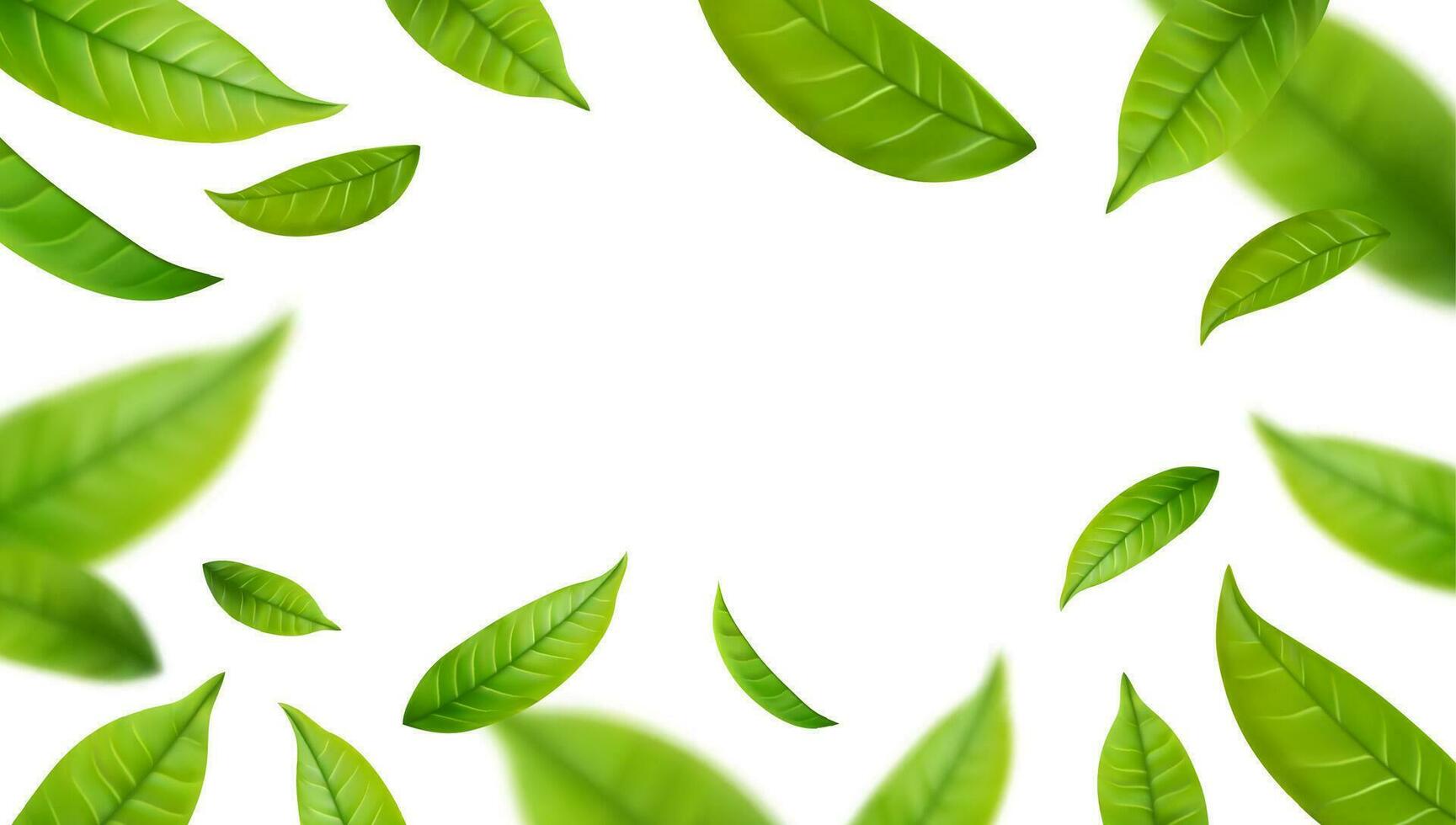 Realistic green tea leaves in motion vector