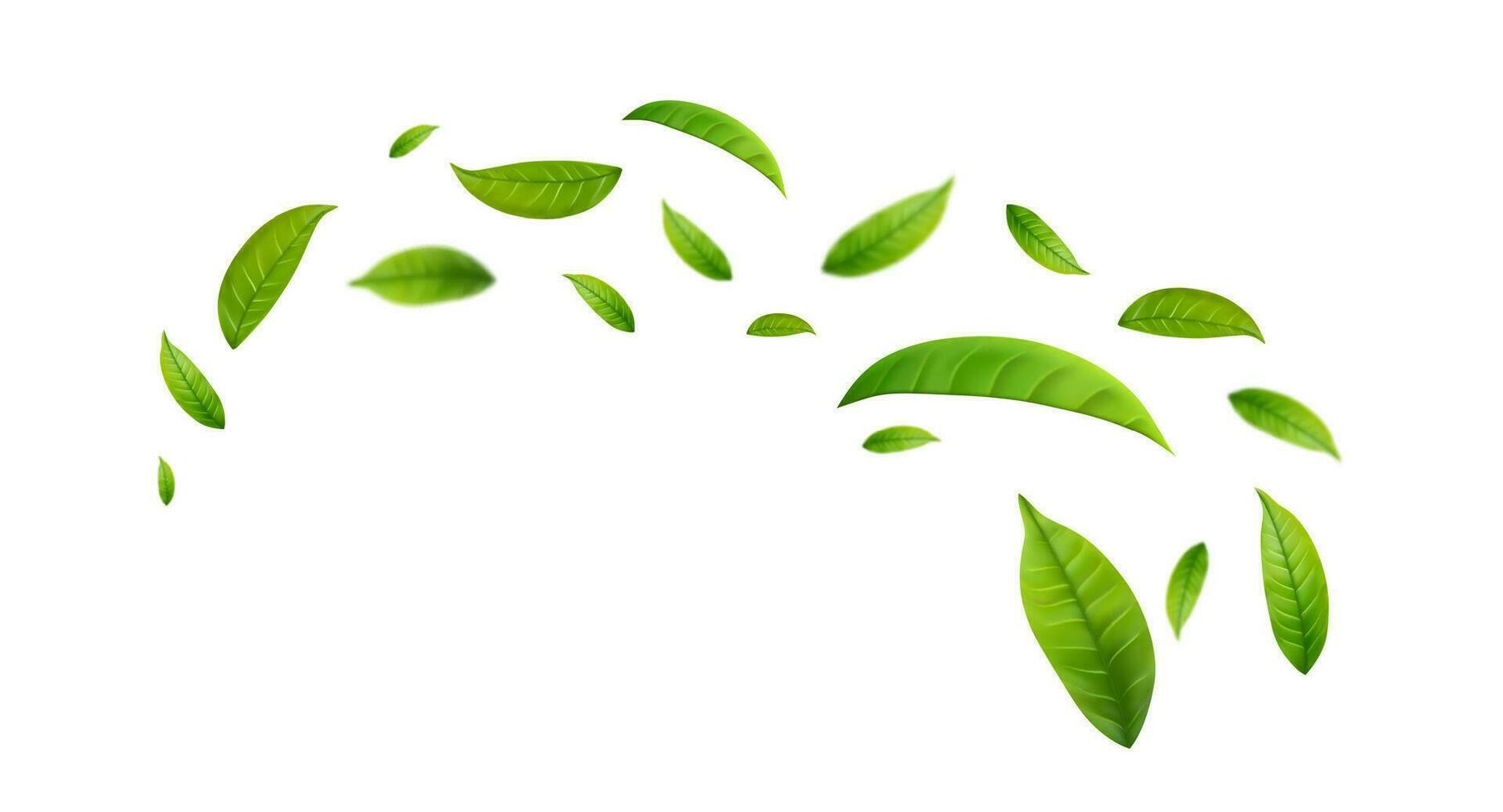 Green leaves fly with a gust of wind. vector