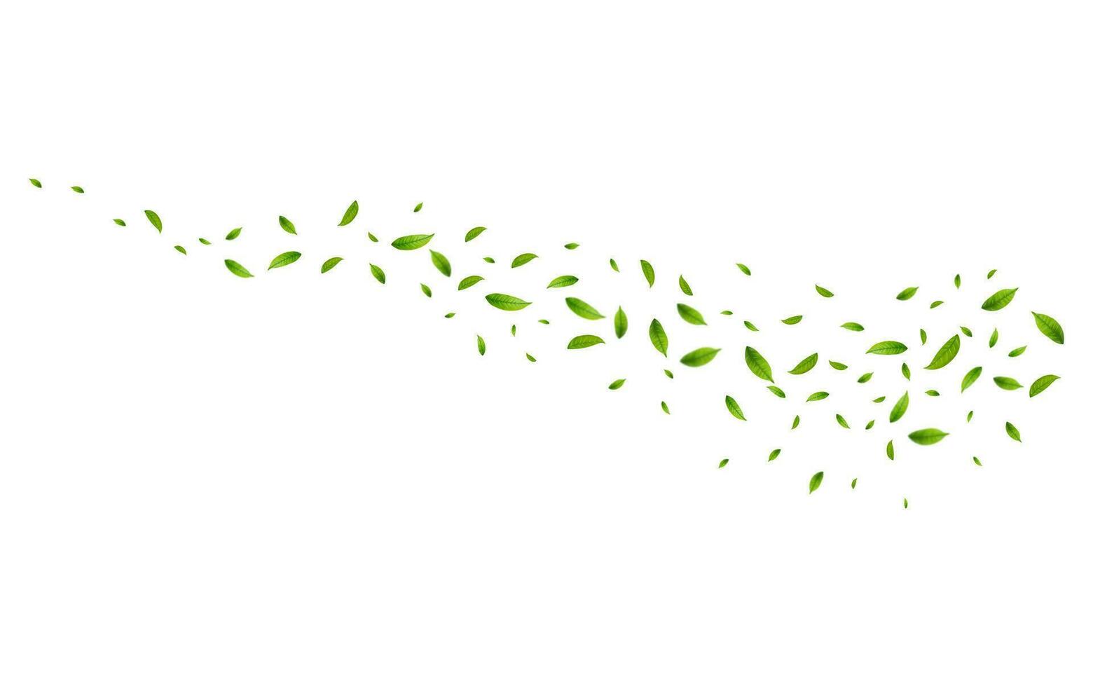 Realistic green tea leaves in motion vector