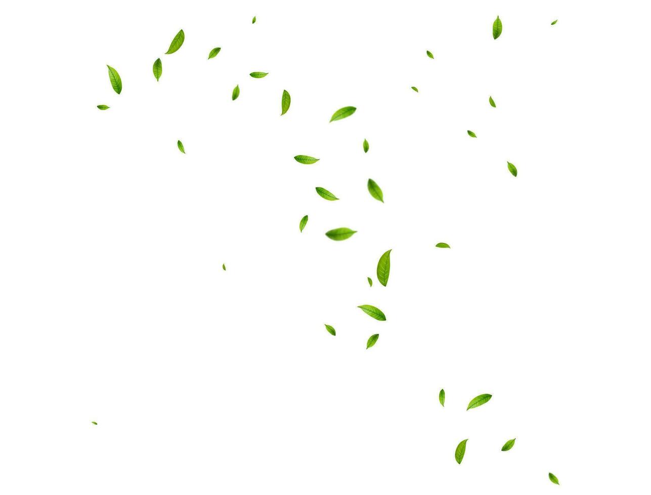 Realistic green tea leaves in motion vector