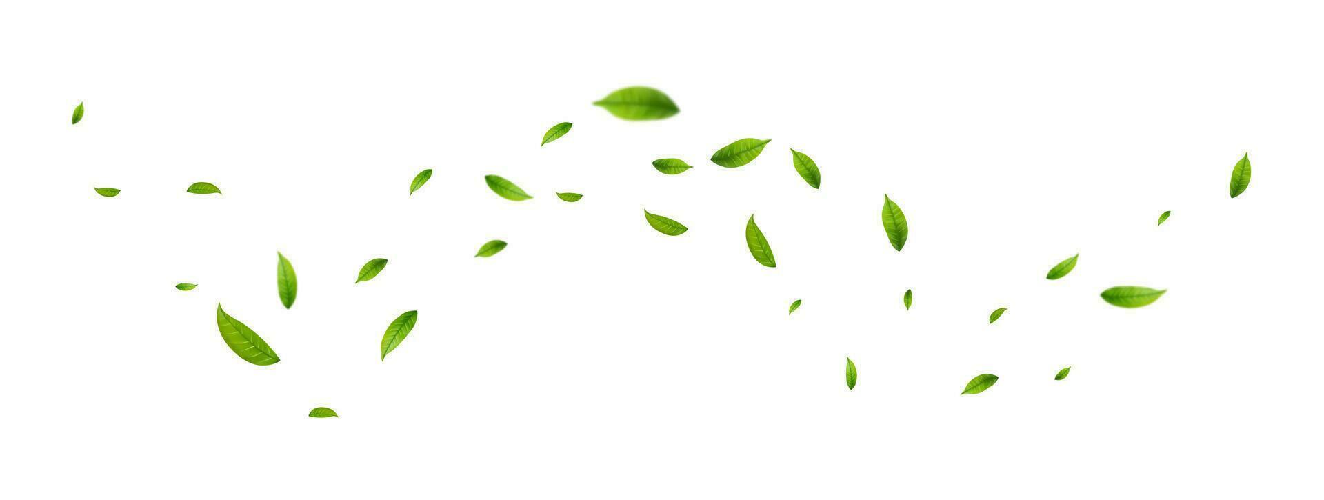 Green leaves fly with a gust of wind. vector