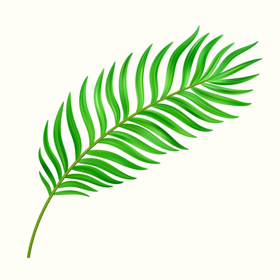 Jungle exotic leaf. tropical leaves vector