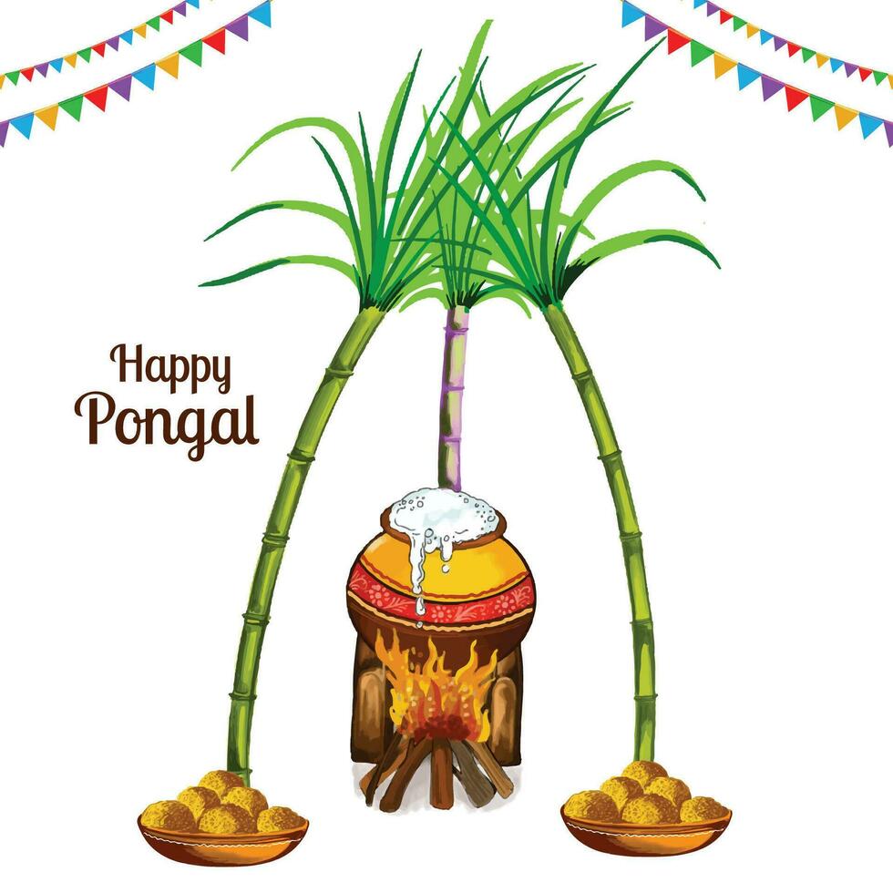 Happy pongal harvest festival card background vector