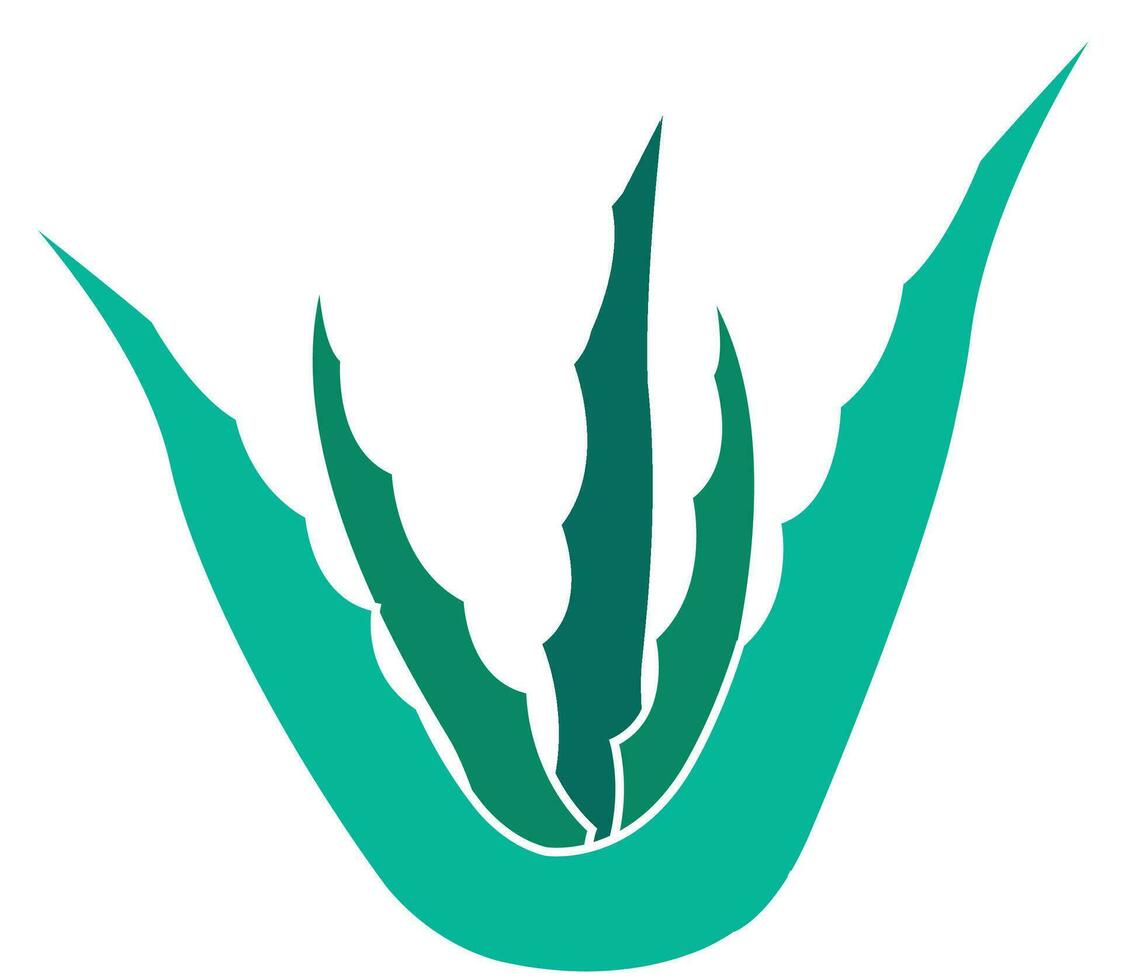 Aloe vera plant icon design illustration template vector
