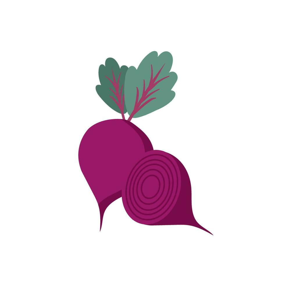 beet root, two full and half beet roots, red beet with green leaves vector illustration