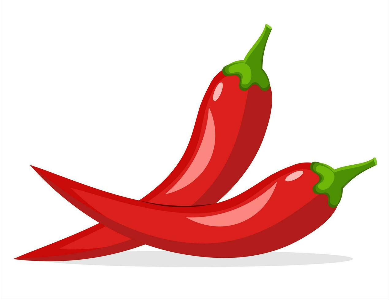 Chili pepper on white background vector