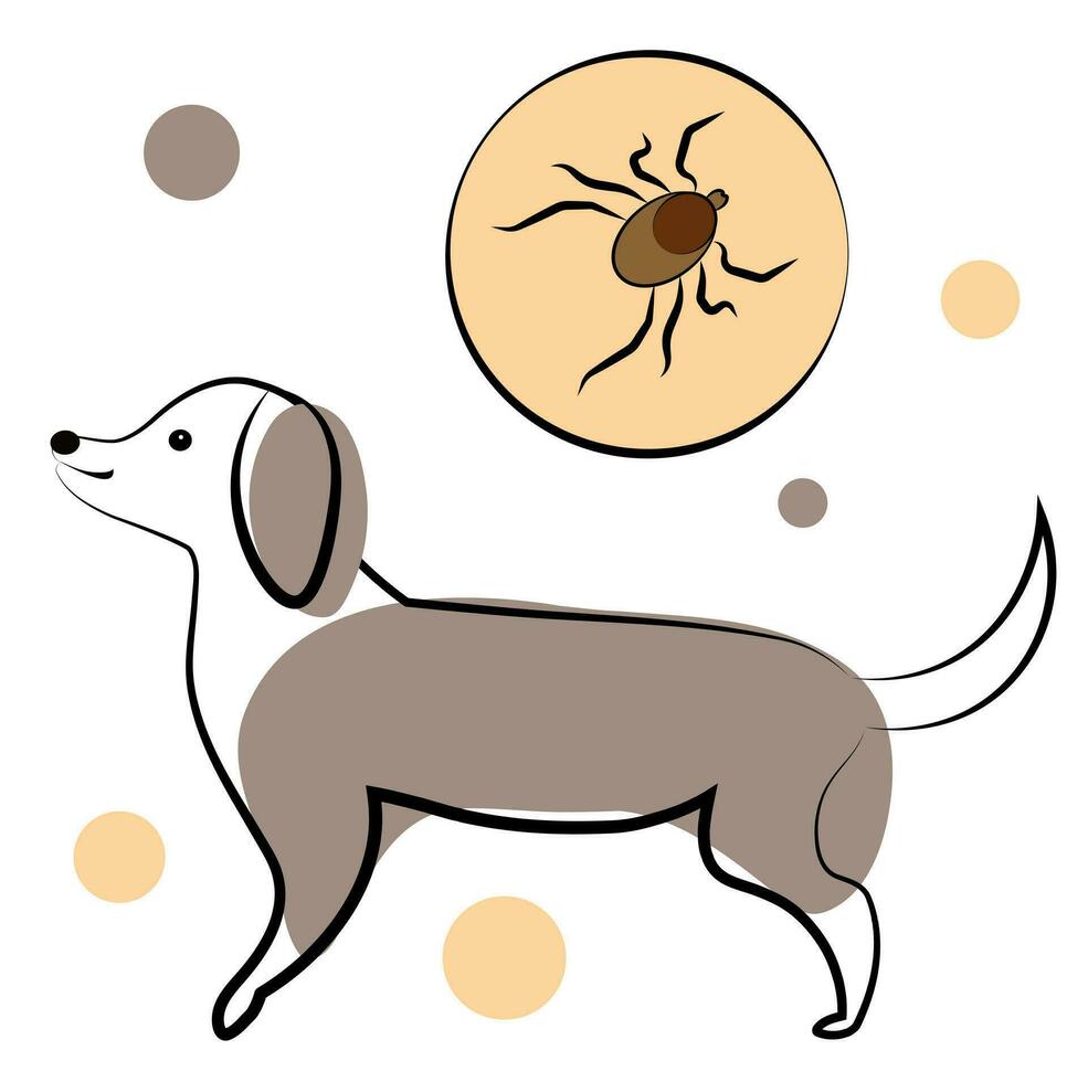 An encephalitic tick has bitten a dog. Vector illustration isolated on white background