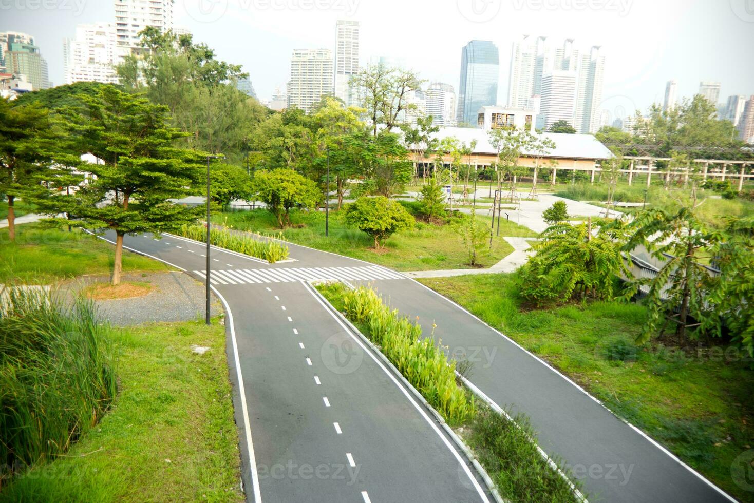 empty road in the park tree forest landscape in the city photo