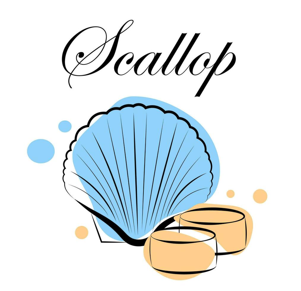 Scallop on white background. Doodle vector