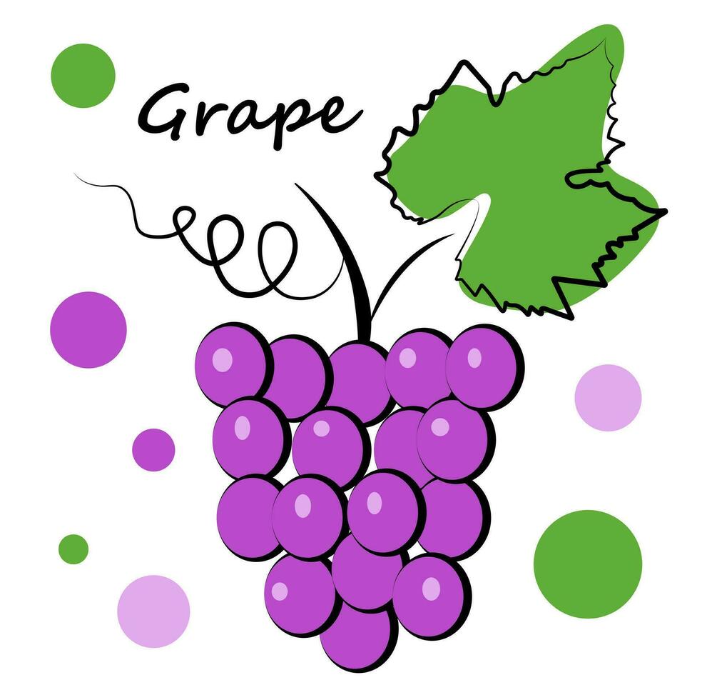 Grapes on a white background vector