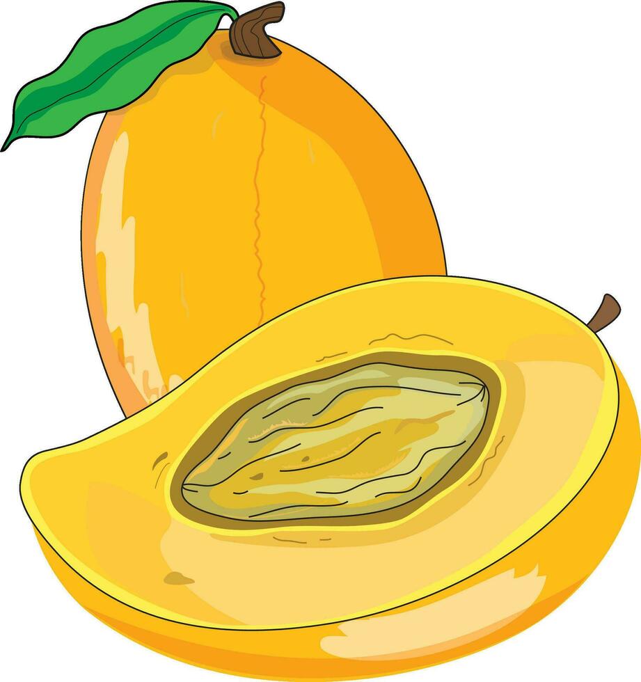 Fresh and delicious mangoes vector