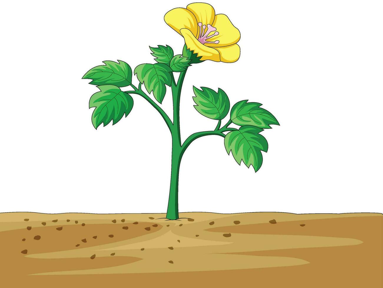 Flower growing in the soil vector illustration