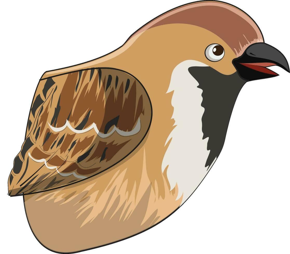 A Sparrow beak vector illustration