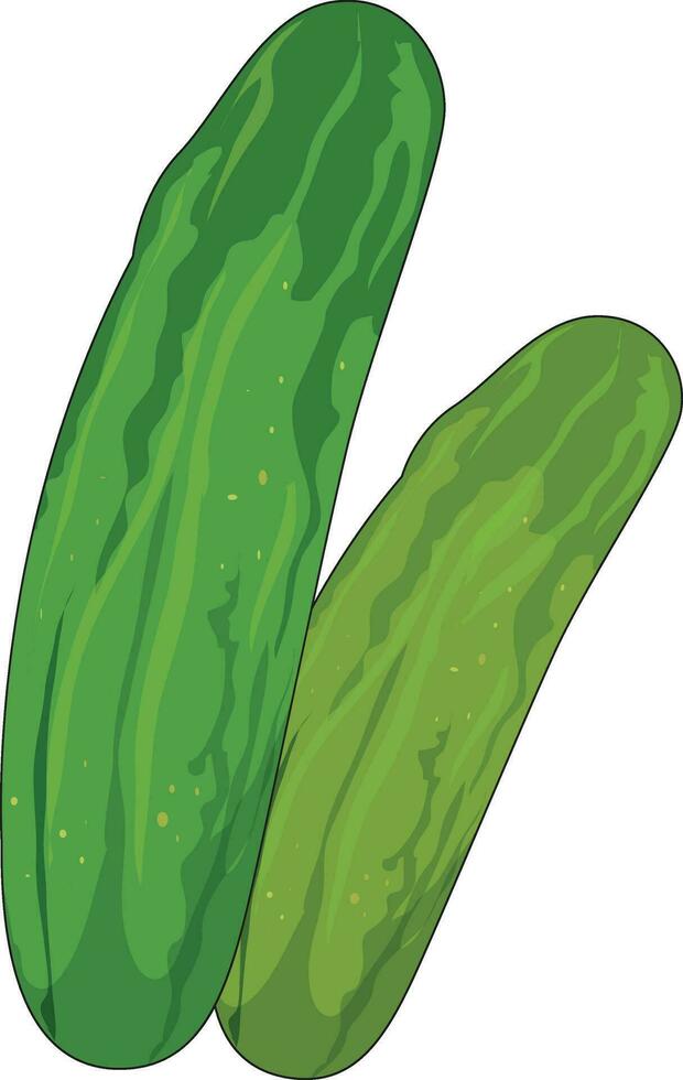 A pair of cucumbers vector