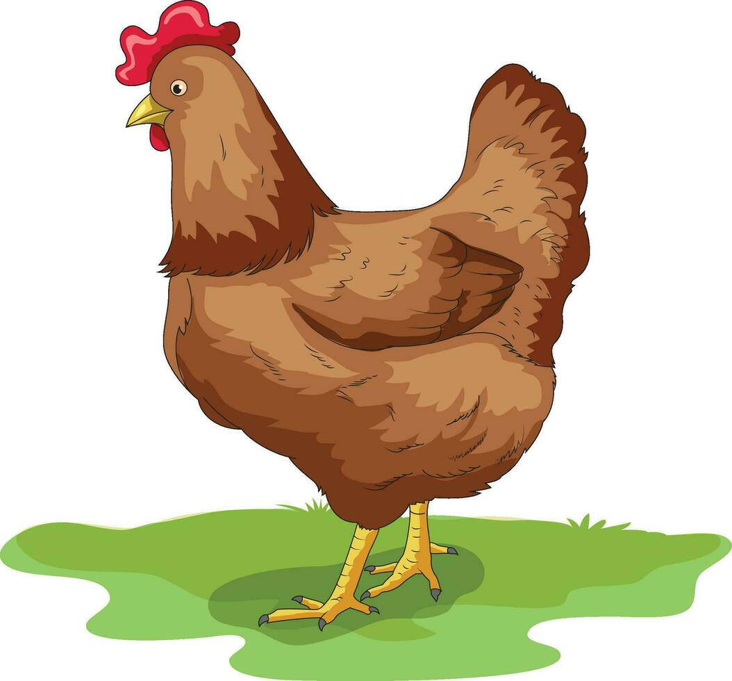 Cute hen cartoon standing on a grass field vector