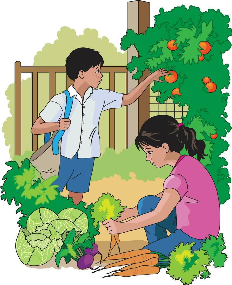 niña coleccionar vegetales y chico participación Tomates vector