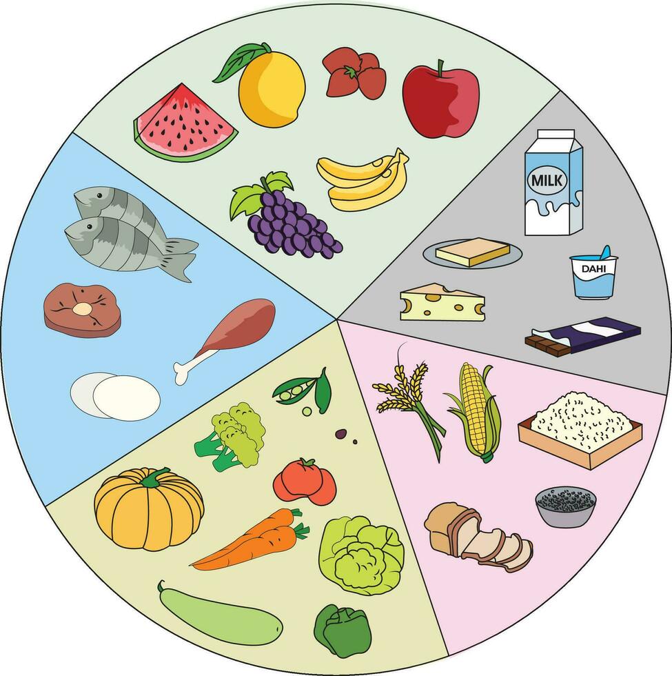 fluir gráfico demostración diferente fuentes de comida vector