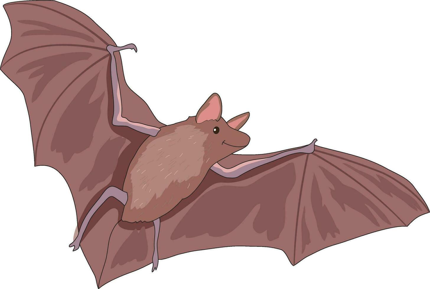 Vampire bat vector illustration