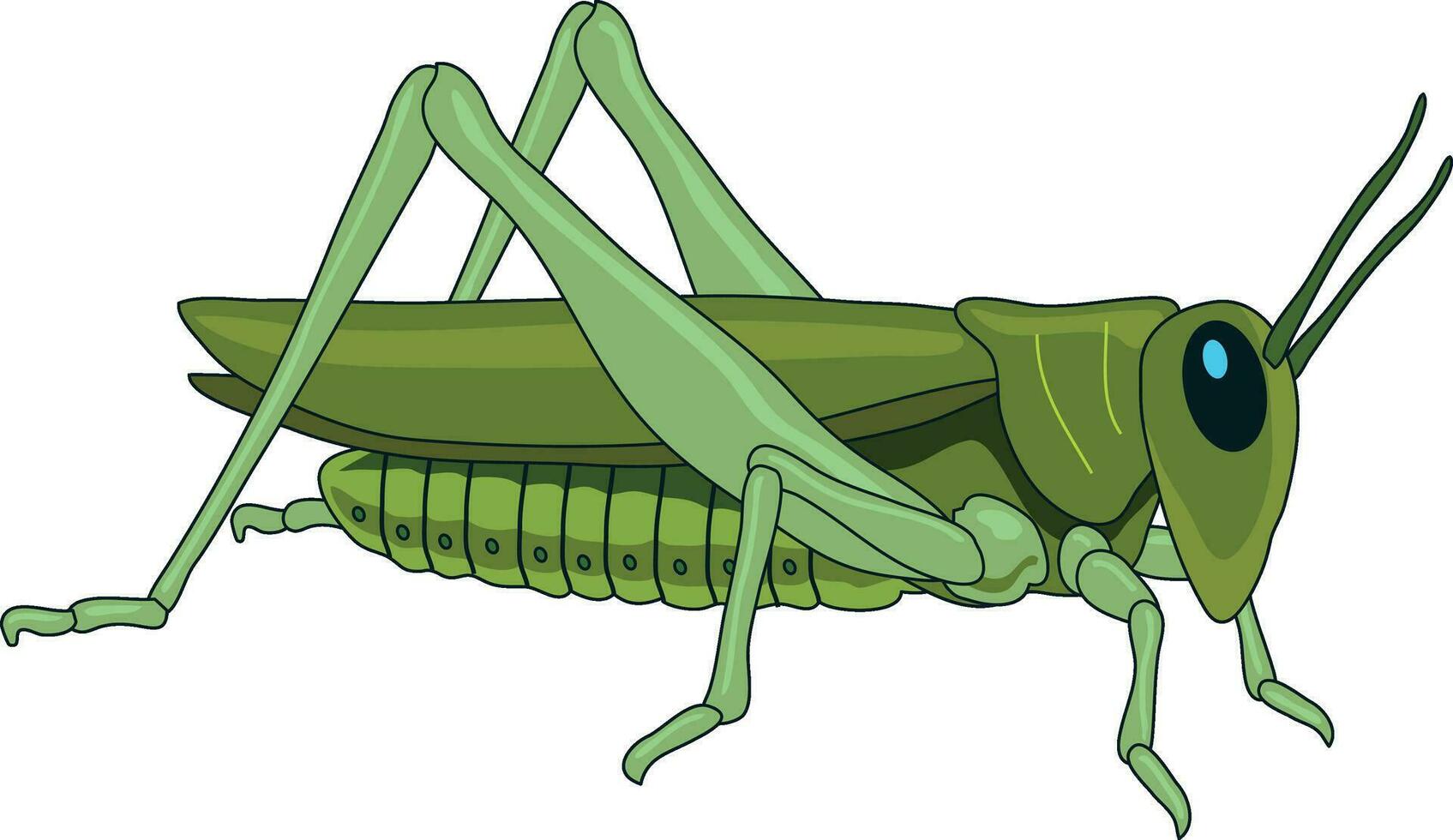 Cute grasshopper looking furiously vector