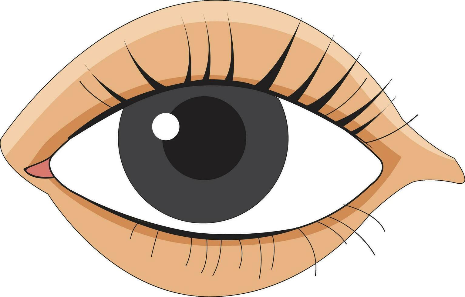 humano ojo ilustración vector