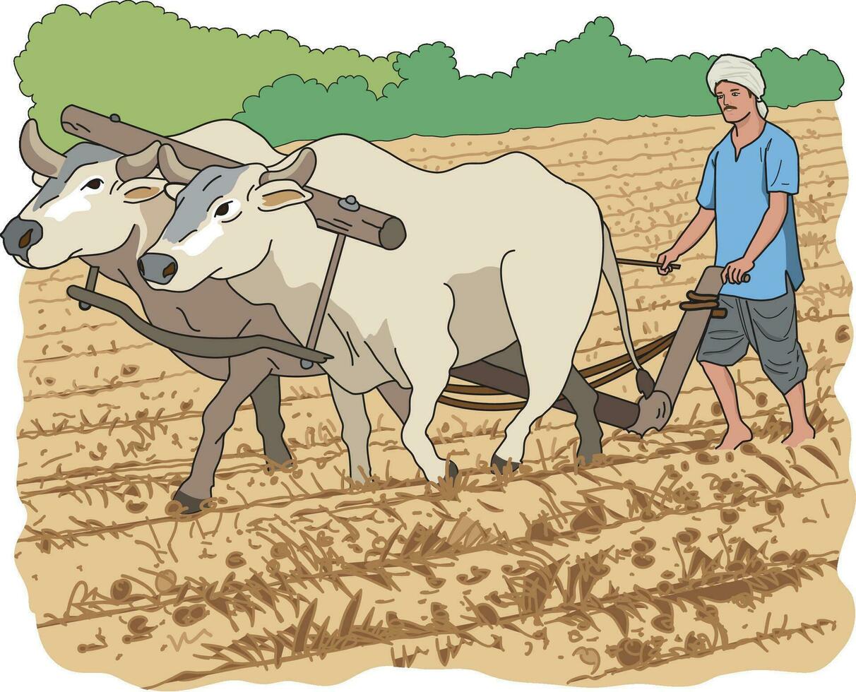 Farmer ploughing the fields with bullock cart vector
