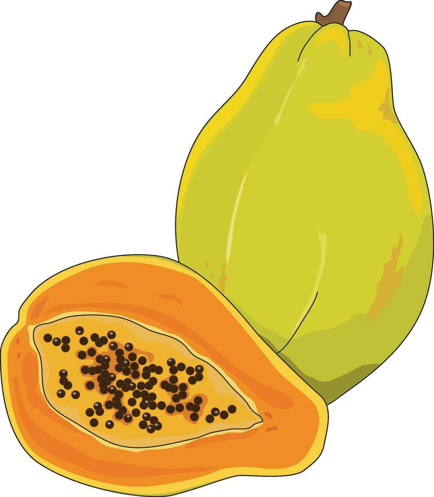 Fresco papaya Fruta y un rebanada de eso vector