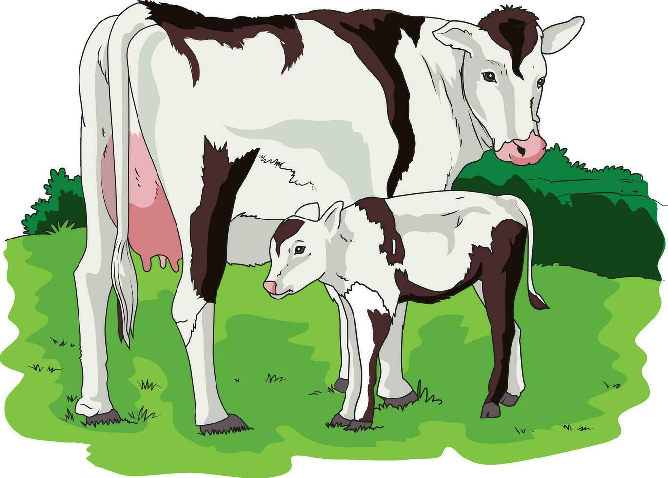 Cute cow and calf standing in a grass field vector