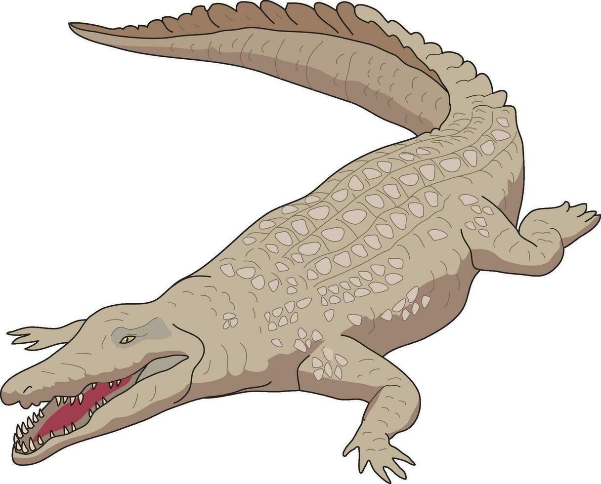 Fierce crocodile with mouth wide open vector