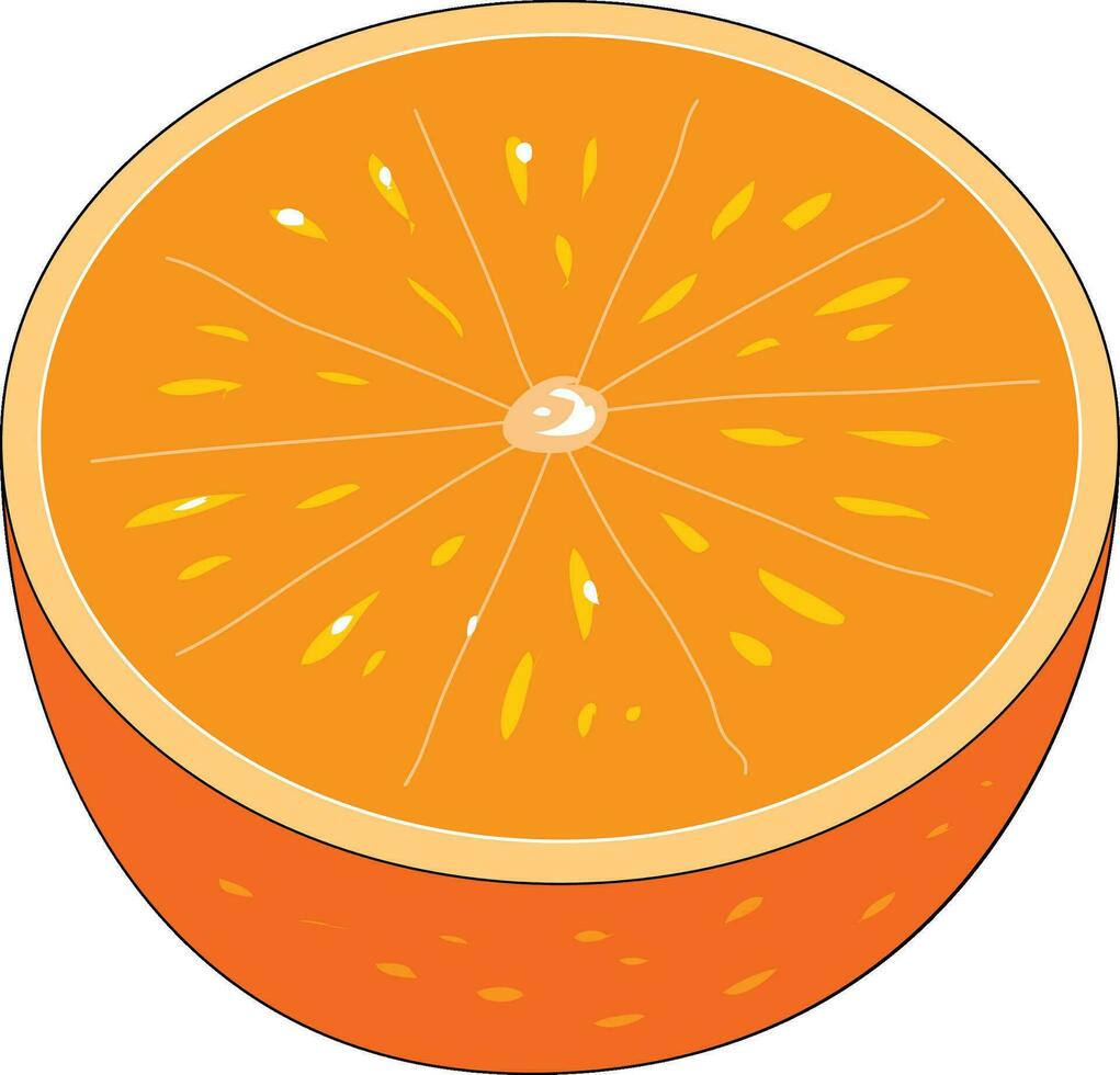 An orange cutted into half vector