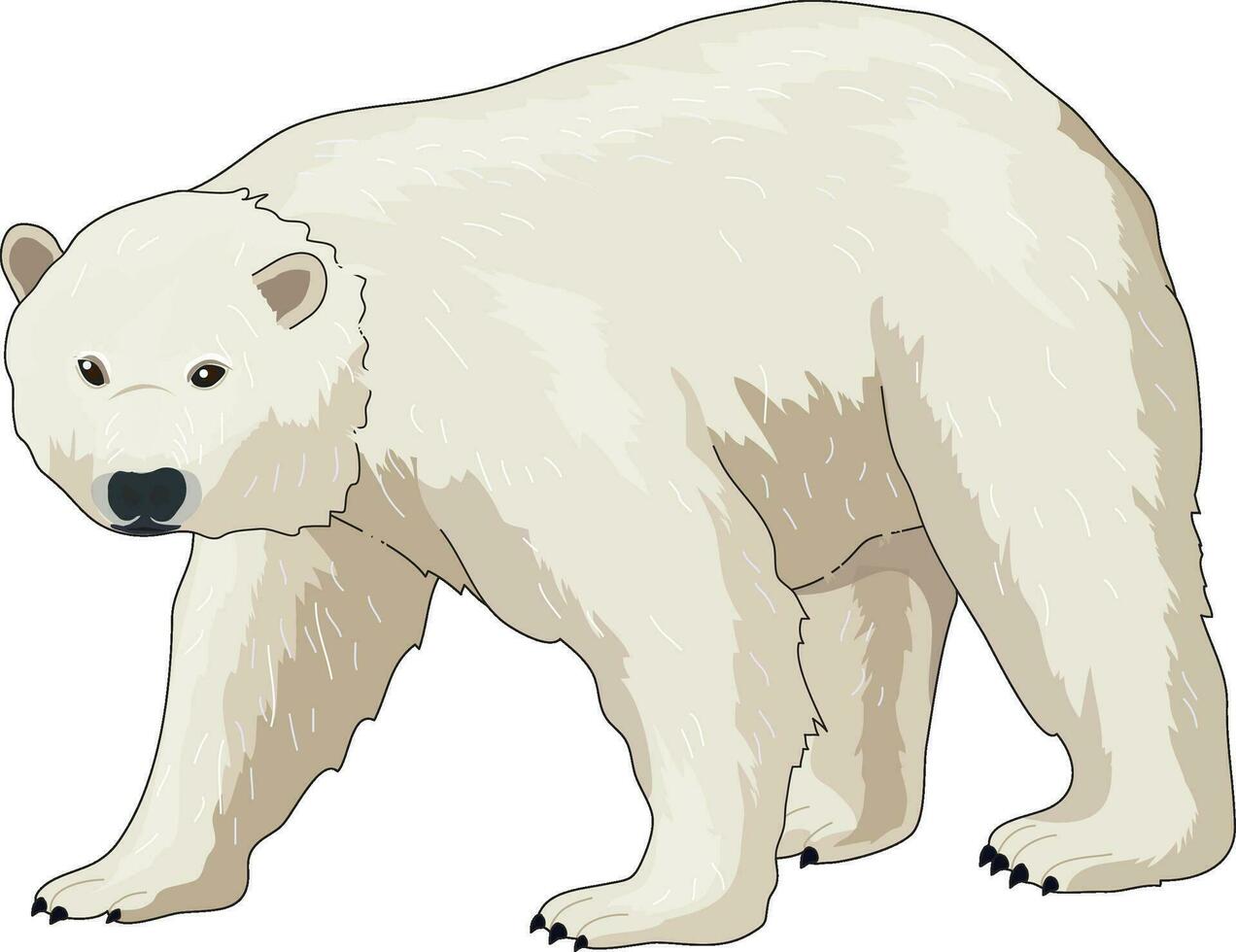 Cute polar bear walking vector