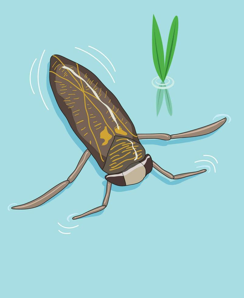 un insecto acostado en agua vector