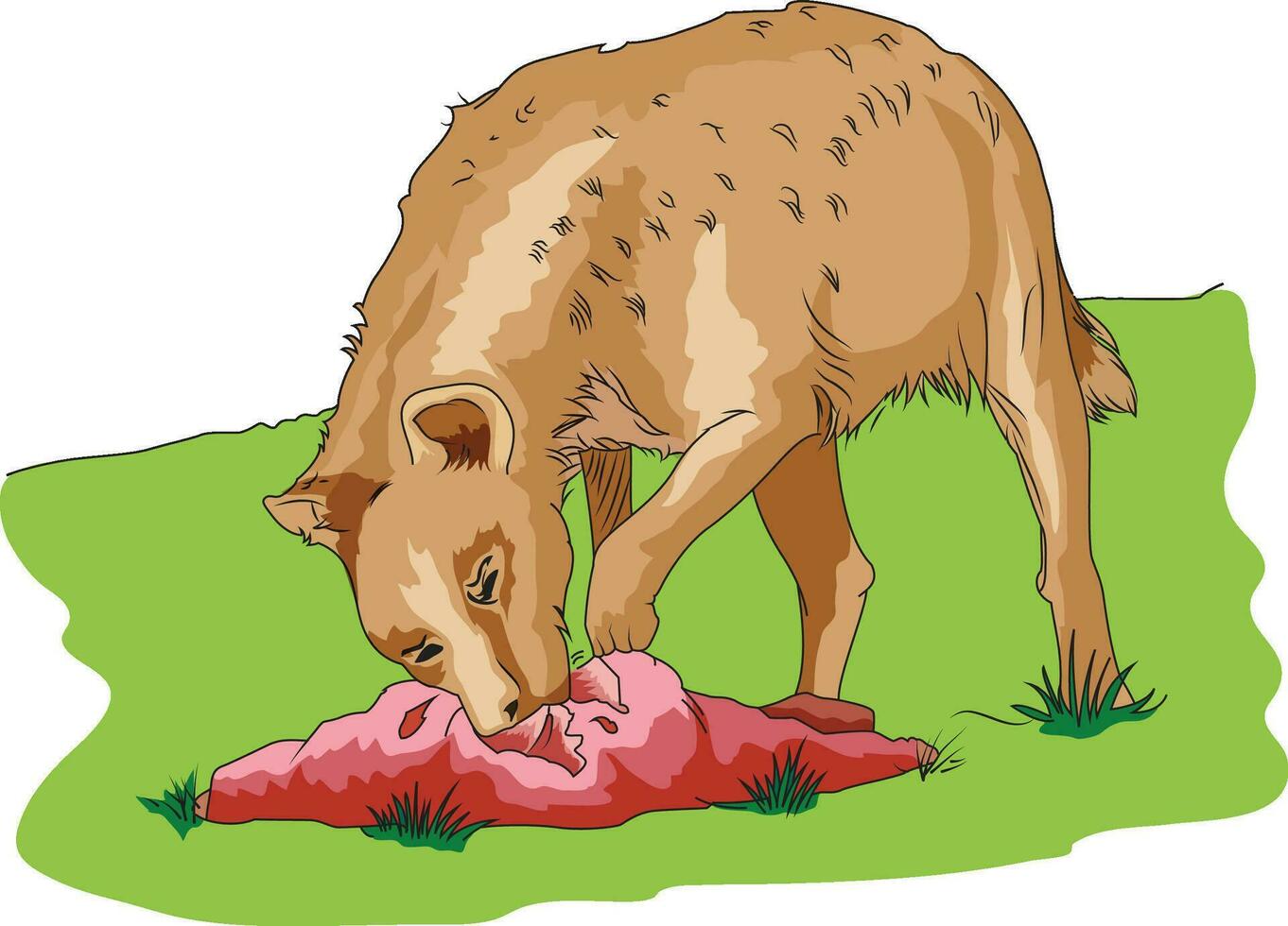 Hyena eating meat vector