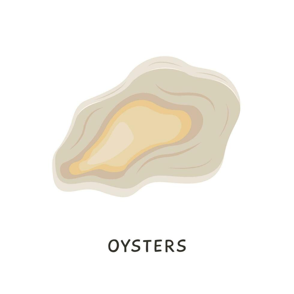 Oysters. Vector fresh oyster shell isolated on white background. Cooked delicacies, Mediterranean delicacy seafood. Shellfish in flat cartoon style.