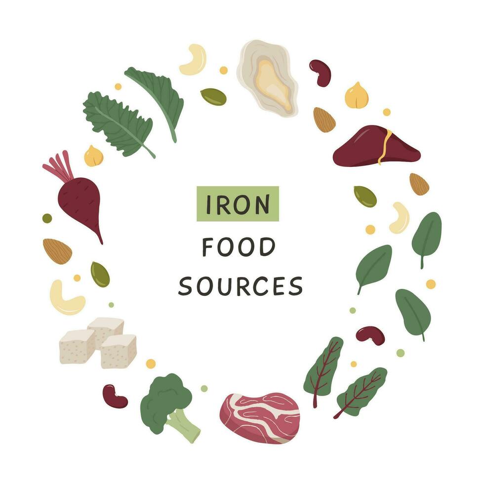 Collection of iron rich food. Red meat, liver, sea food, broccoli, tofu, legume, nuts. Dietetic product, organic natural nutrition. Flat vector illustration in circle. Infographic for Iron food source