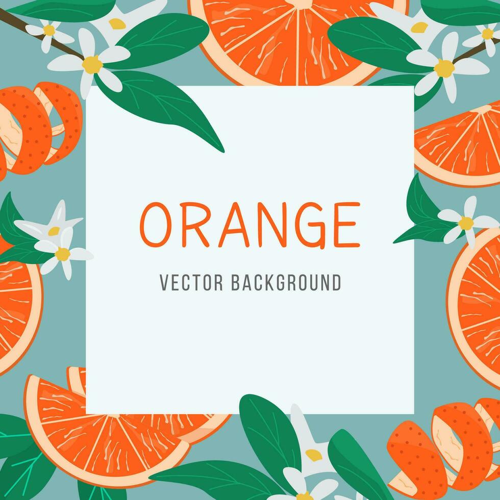 Orange fruit square background vector flat illustration. Exotic colorful summer frame with place for text. Bright Juicy citrus template with tropical tangerine and skin peel grapefruit and brunches.
