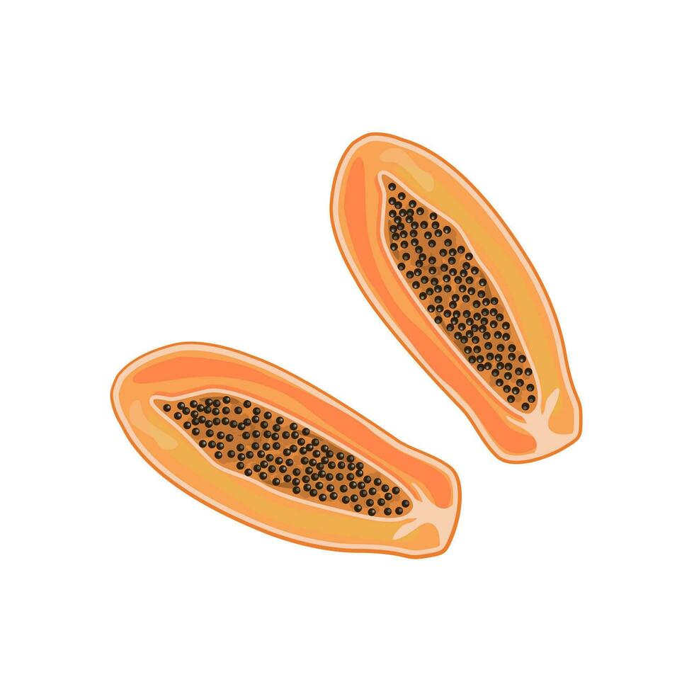 Ripe papaya cross section, half exotic delicious fruit with black seeds. Flat vector cartoon illustration isolated on white background