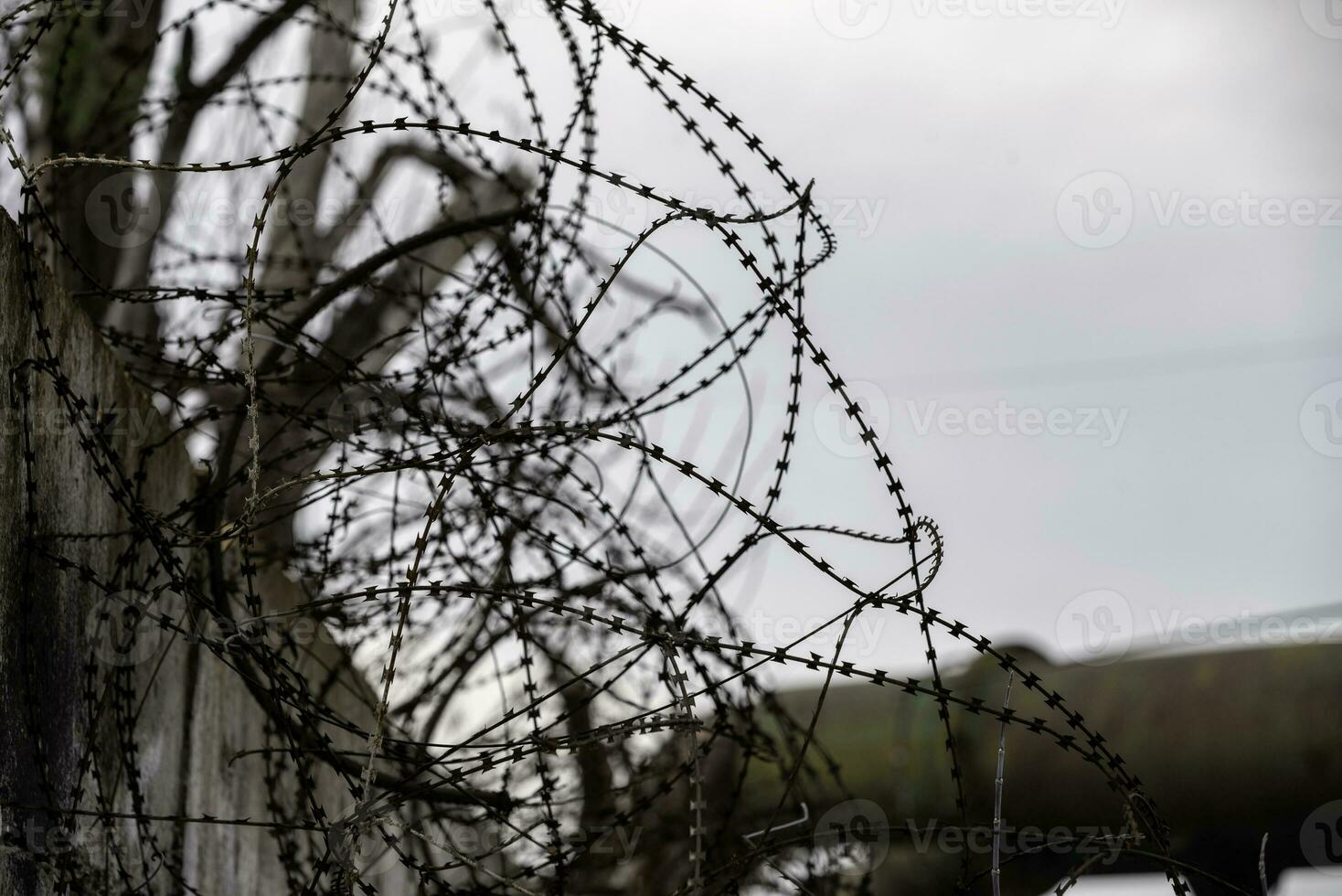 barbed wire fence against the sky in Ukraine photo