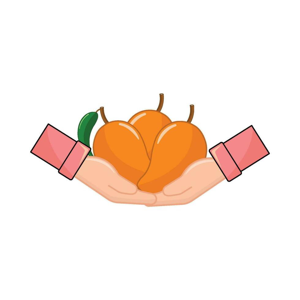 mango in hand illustration vector