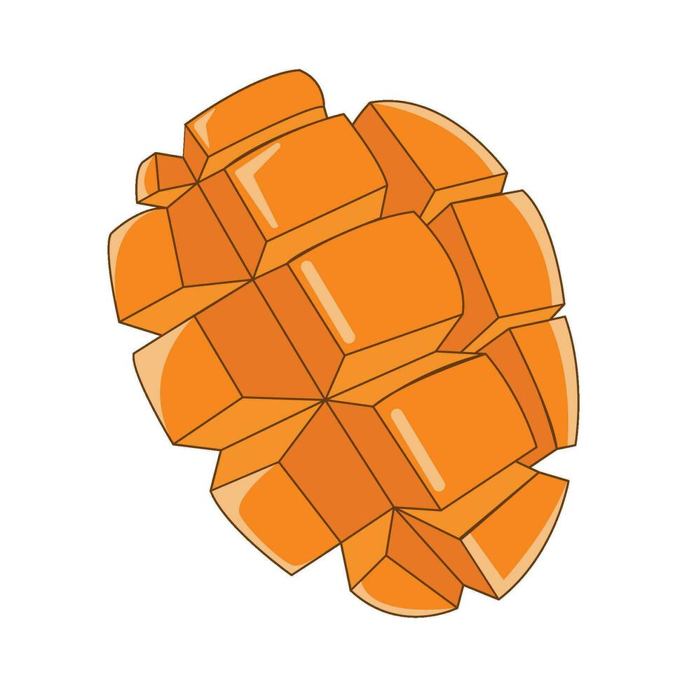 mango slice illustration vector