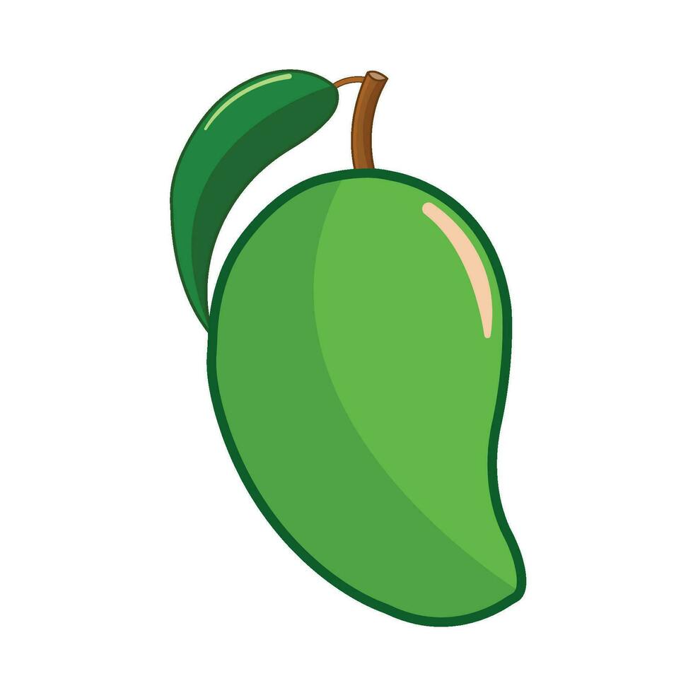 mango fruit illustration vector