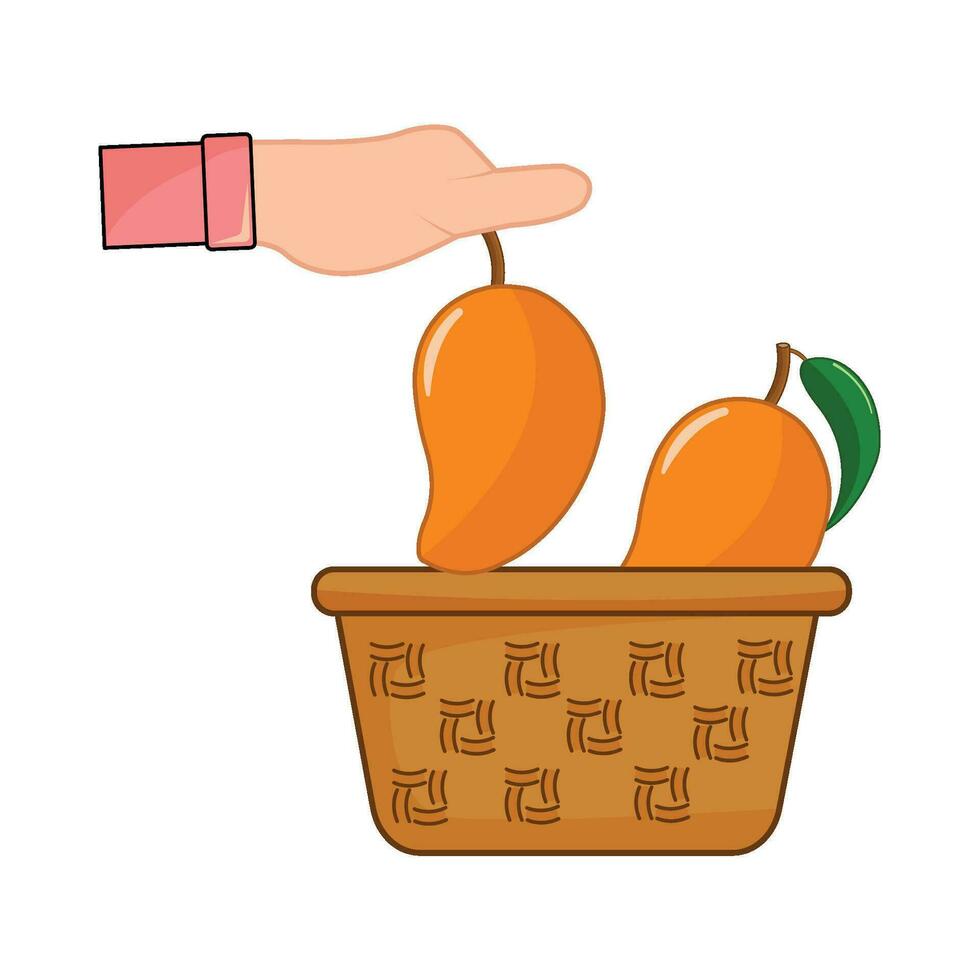 mango in basket illustration vector