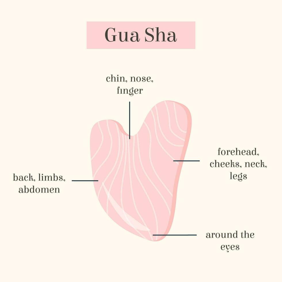 Infographic of Gua Sha Jade scraping massage tool usage. Natural pink rose quartz stone scraper. Chinese traditional facial lifting for woman. Facial acupoints. Vector flat illustration.
