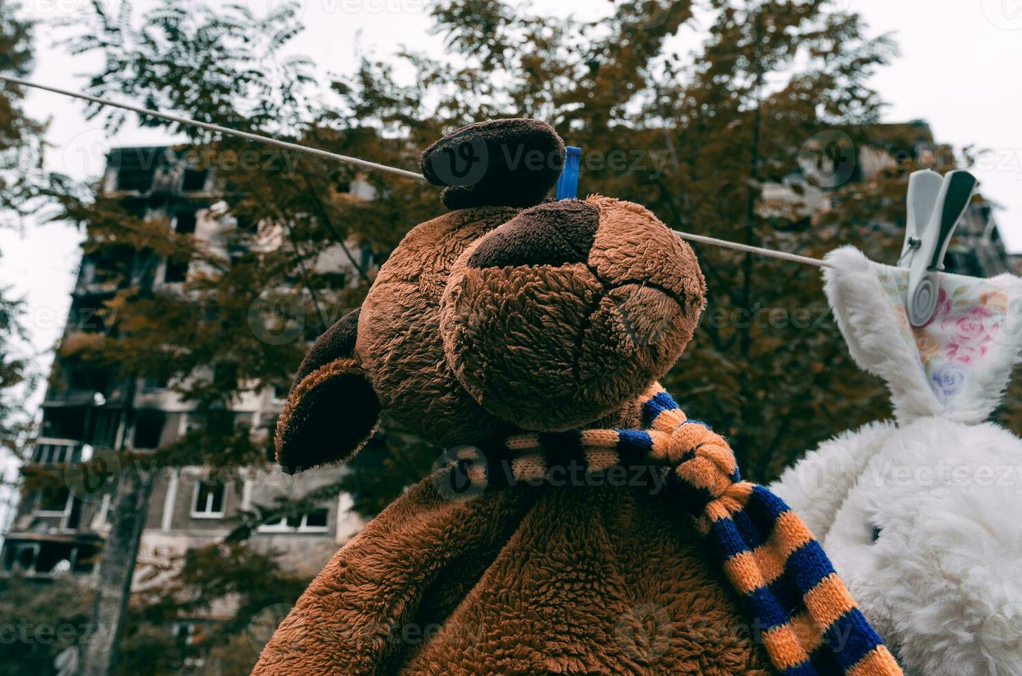 soft toys are dried after washing against the background of a burnt-out building in Mariupol photo