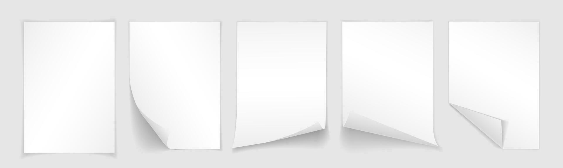 Blank A4 sheet of white paper with curled corner and shadow, template for your design. Set. Vector illustration